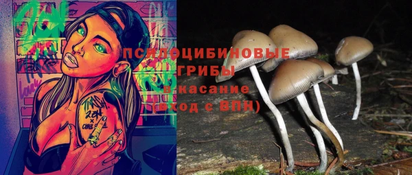 трава Алексин