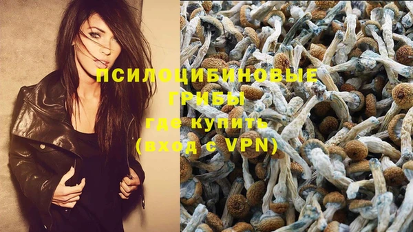 jwh Абаза