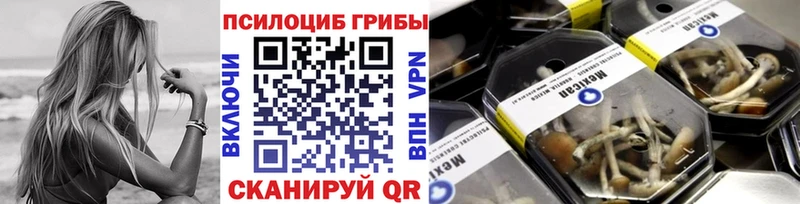 Галлюциногенные грибы Psilocybine cubensis  хочу наркоту  Разумное 