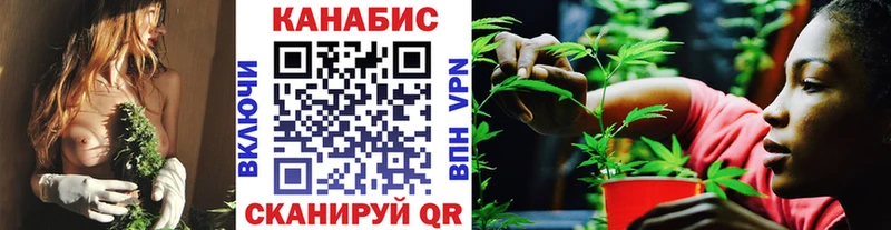 blacksprut ссылка Разумное Конопля OG Kush